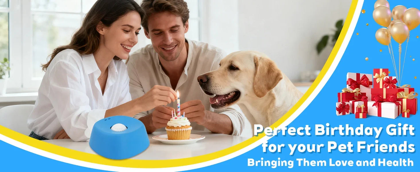Slow Feeder Dog Bowl – Non-Slip Lick Bowl for Yogurt, Broth & Treats